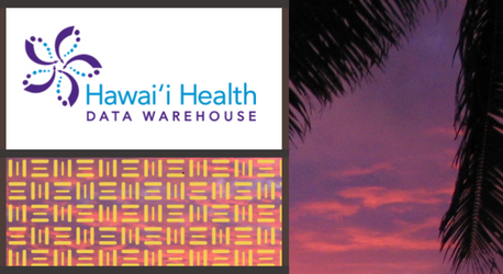 hawaii-health-data-warehouse